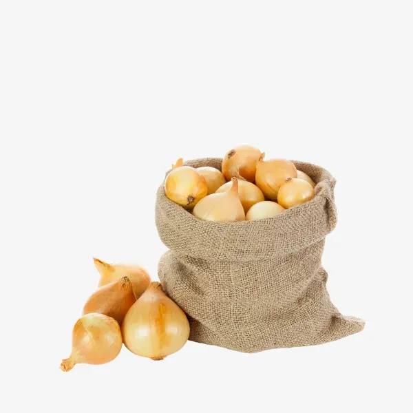 Kuru Soğan